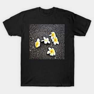 Black Sand Yellow Plumerias T-Shirt